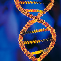 What Does Genetic Testing Reveal?