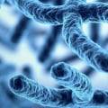 Unravelling the 4 Types of Genetic Disorders